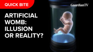 Artificial womb: Illusion or reality?