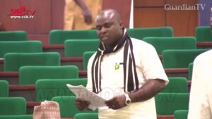 Benue Market Inferno: Reps mandate NEMA to send relief to victims
