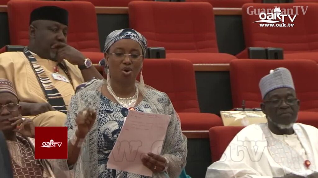 Computer Literacy: Nigeria must not be left behind, Senator Aishatu Dahiru tells Senate