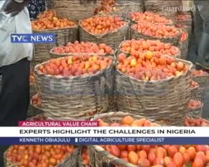 Experts highlight challenges facing Agricultural Value Chain