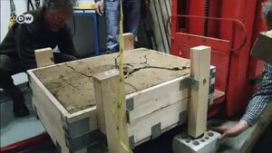 Man finds gold coins in Germany, but reward unlikely