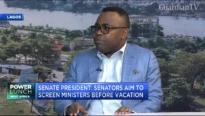 Nigeria’s new cabinet: Who should make the cut?