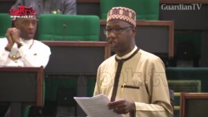 Reps to probe Obasanjo, Yar’Adua, Jonathan power contracts