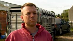 UK sheep farms warn of surplus in case of no-deal Brexit
