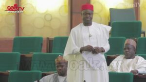 We need family planning in Nigeria, Lawmaker cries out