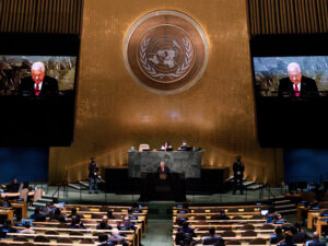 Will DOGE cripple the UN's agencies?