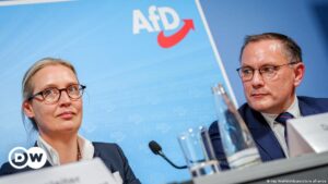 Germany's AfD riding high despite setbacks