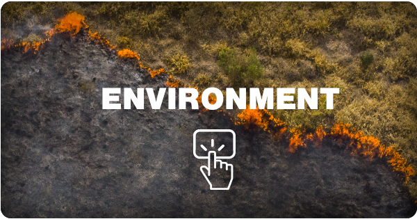 Most of world’s biggest private companies failing to set net zero targets: report