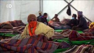 Pandemic, climate change threaten global stability: WEF