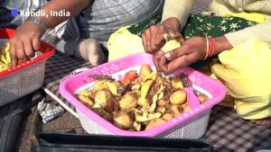 An Indian woman farmer up the ante against agricultural laws