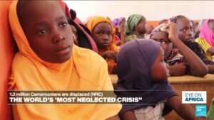 1.3 million Cameroonians are displaced (NRC)