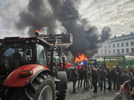 Sacrificing agriculture for trade? Mercosur deal divides European Union