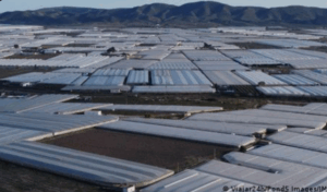 Spain, Europe's greenhouse, is running out of water