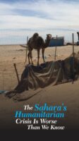 The Sahara’s humanitarian crisis is worse than we know
